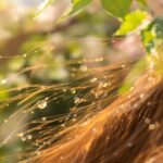 Produktupdate: Welche Pflege braucht dein Haar im Frühling?