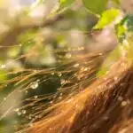 Produktupdate: Welche Pflege braucht dein Haar im Frühling?